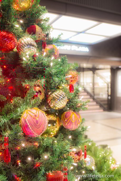 LifeTeria　ブログ