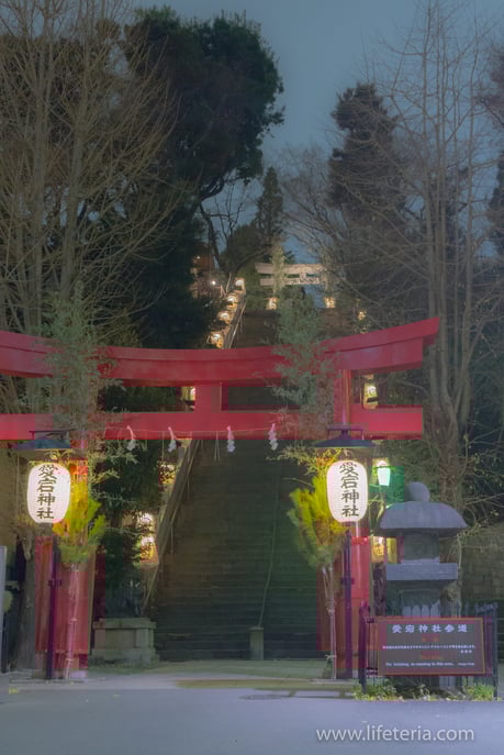 LifeTeria　ブログ