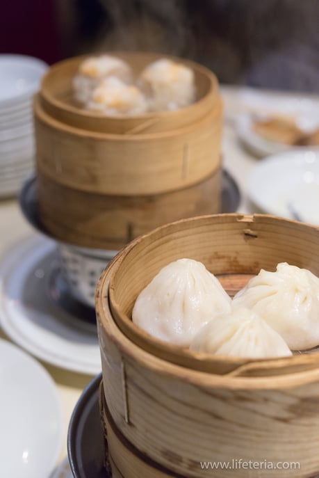 LifeTeria　ブログ　青葉