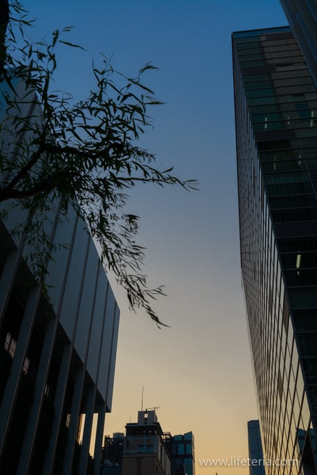 LifeTeria　ブログ