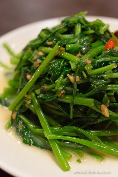 LifeTeria　ブログ　明月湯包