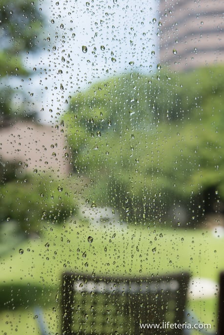 LifeTeria　ブログ　原美術館　カフェ　ダール　Cafe d'Art