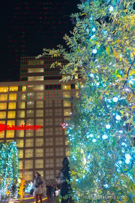 LifeTeria　ブログ