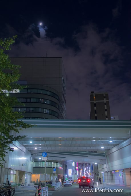 LifeTeria　ブログ