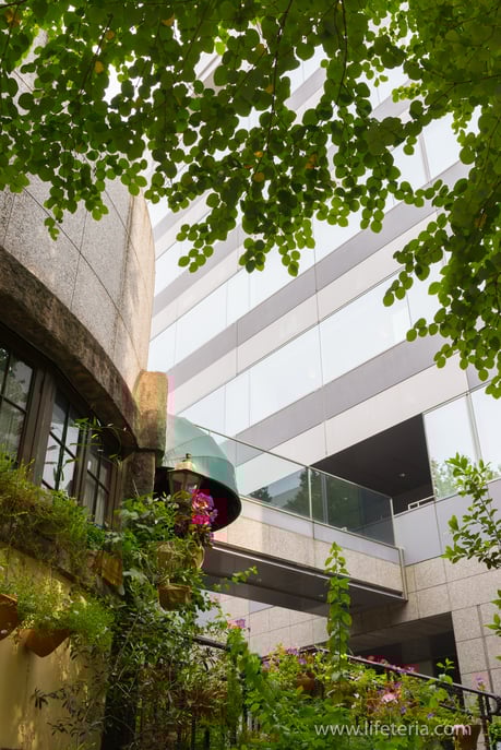 LifeTeria　ブログ