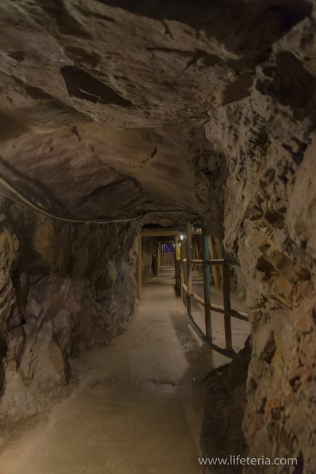 LifeTeria　ブログ