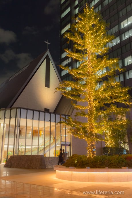 LifeTeria　ブログ