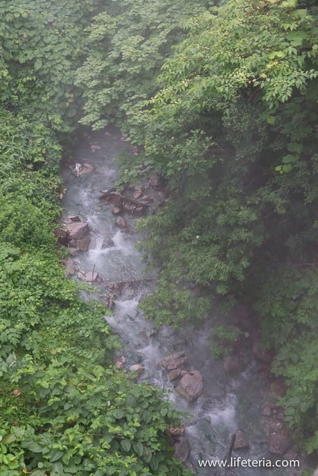 LifeTeria　ブログ