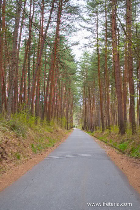 LifeTeria　ブログ