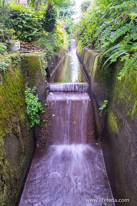 LifeTeria　ブログ