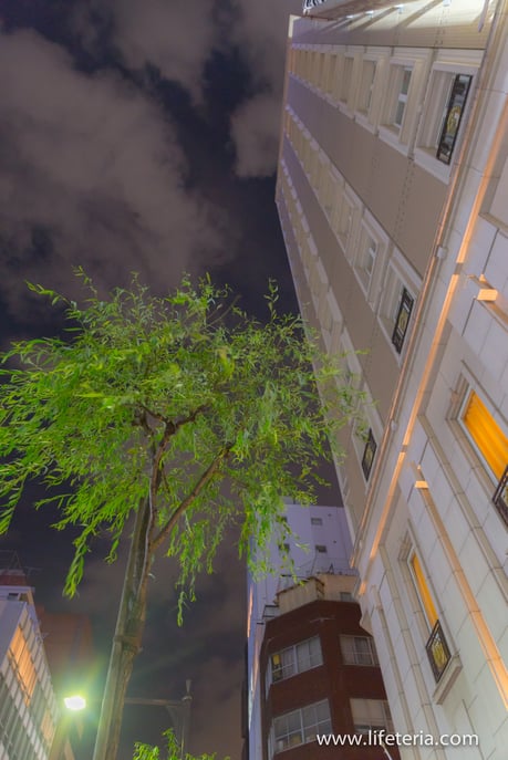 LifeTeria　ブログ