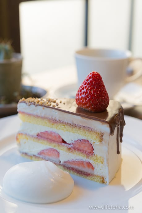 LifeTeria　ブログ