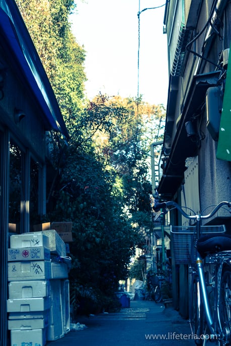 LifeTeria　ブログ