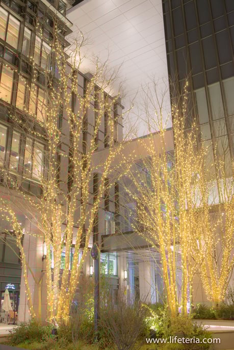 LifeTeria　ブログ