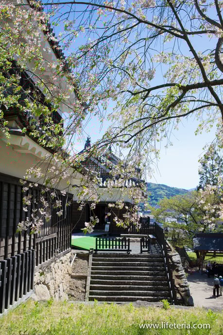 LifeTeria　ブログ　上田城