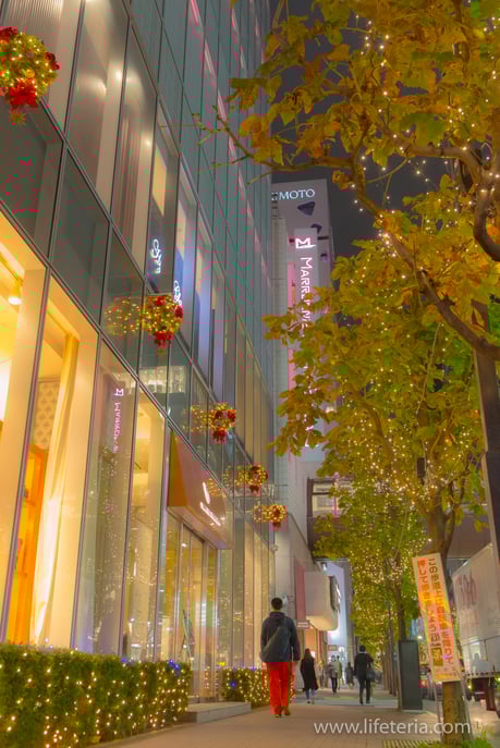 LifeTeria　ブログ