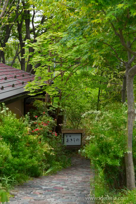 LifeTeria　ブログ