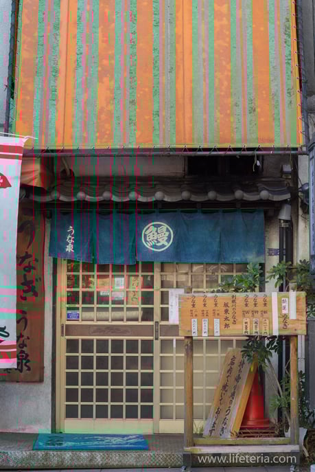 LifeTeria　ブログ　うな泉