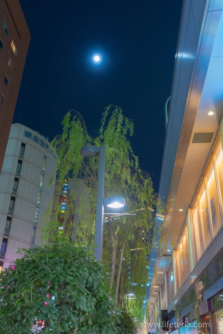 LifeTeria　ブログ