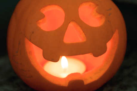 (Bilder: schule-bubikon.ch)