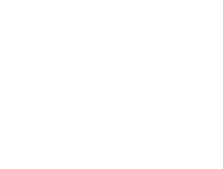 MAINPOL