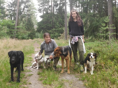 Hunde beim Training, Hundeerziehung