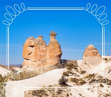 Kamel Tal Kappadokien Türkei