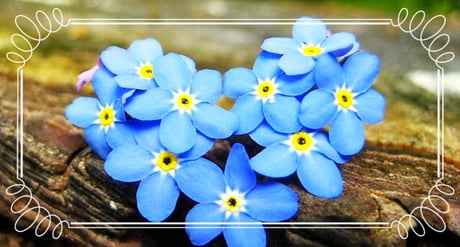 Vespasian-Titus-Tunnel, Titus Tunnel Seleucia Pieria Çevlik hatay Türkei