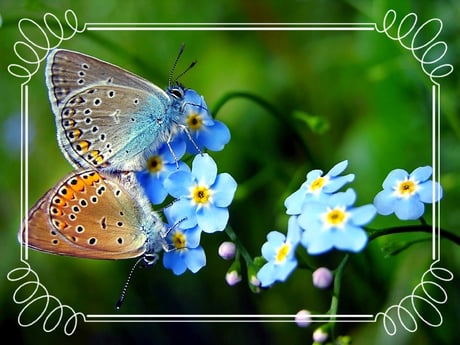 Wir hoffen Sie hatten eine unvergessliche Reise