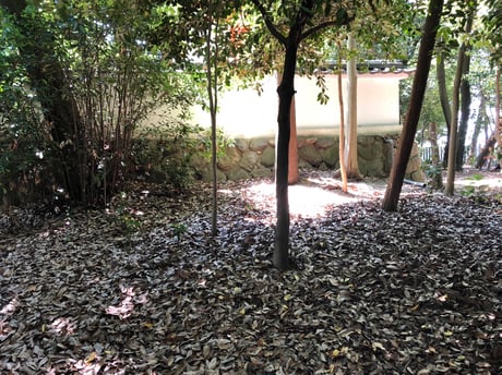 토이치 현주 신사 자취