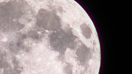 いざよい　お月見