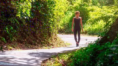 パワーウォーキング（4.7km～6km/ 自然の中や近所の村を訪れる）