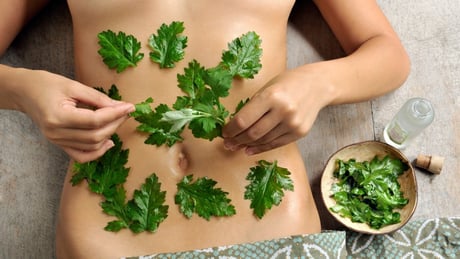 解毒：しっかりと解毒（デトックス）する。しっかりとデトックスした体には、食べ物の栄養素もしっかり届き、心も体も元気になってきます！