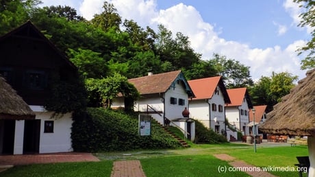 Donnerstag: Fahrt nach Moschendorf mit Führung durch alte Weinkeller und Stadeln, einer ordentlichen Brettljause und Weinproben.