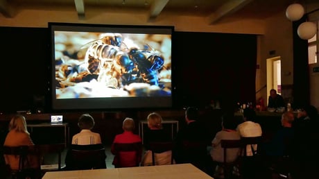 Nur wenige Leute nahmen sich die Zeit, um diesen beeindruckenden Film von Markus Imhoof anzuschauen, der 2012 in den Kinos zu sehen war.