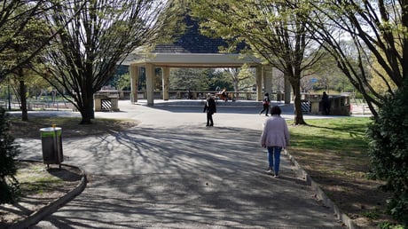 Leider konnte die Palmweihe im Kongresspark und die Palmprozession wegen der Corona Krise nicht stattfinden. An diesem wunderschönem, warmen Frühlingstag waren auch noch wenige Leute unterwegs.