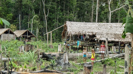 Die in­di­ge­nen Völ­ker leis­ten ei­nen wich­ti­gen Bei­trag, den Re­gen­wald als „grü­ne Lun­ge“ des Welt­kli­mas zu schüt­zen.