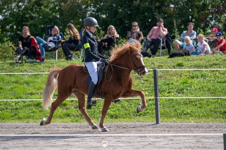 Yasmin Rieser auf Taktur von Hammersdorf