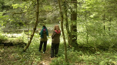 Naturtherapie Luzern