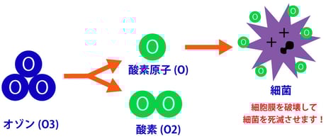 オゾンが細菌の細胞膜を破壊して細菌を撃退する科学的根拠を示したイラスト画像