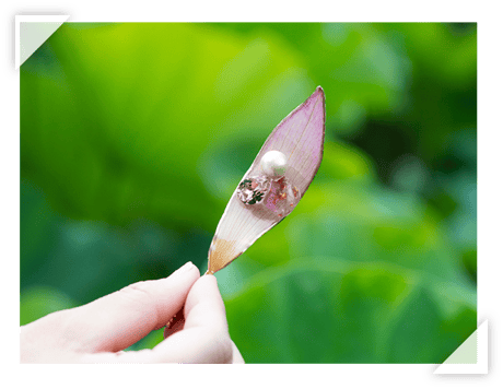 HALotusの本物の蓮の花を使ったアクセサリー