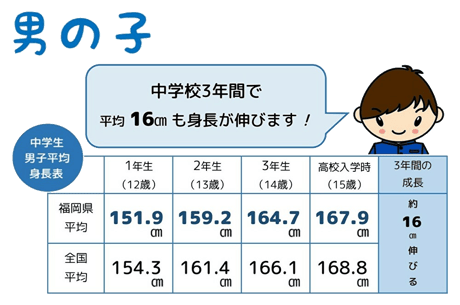 男の子は、中学校3年間で平均16㎝も身長が伸びます！