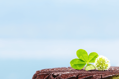 毒親 カウンセリング