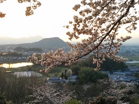 甘樫丘より畝傍山、二上山を望む