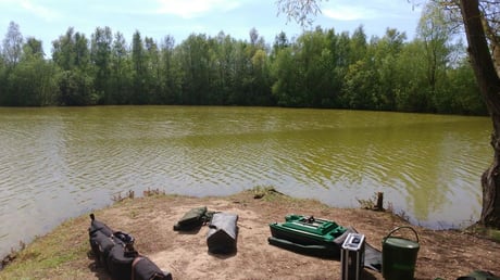 étang de pêche à la carpe no-kill Acrocarpe