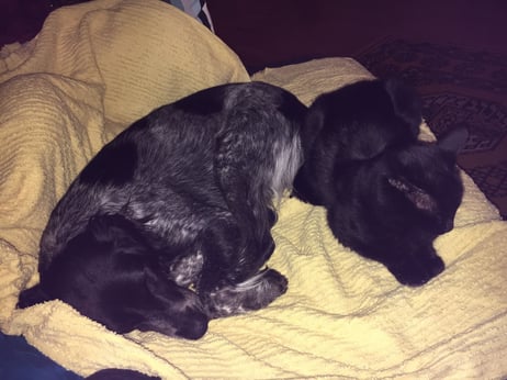 First we take the Sofa und dann die Weltherrschaft... oder so oder ähnlich ;-)