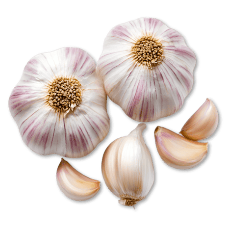 Ail; rose; rosa; Knoblauch; geräucherter; Frankreich; Nordfrankreich; Knobi; Knolle; Kibu; Kibü; Würze; KibüWürze