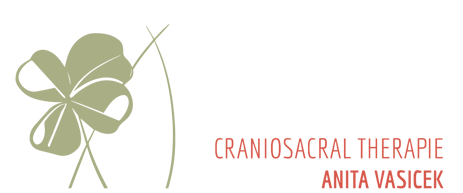 Craniosacral Therapie Anita Vasicek