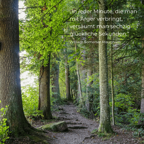 Berufliche Veränderung mit Life-Coaching und Hypnose