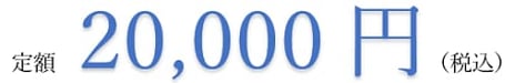 定額20,000円（税込）
